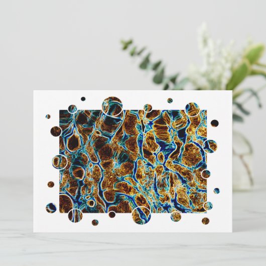 水招待状 (スタンド正面)