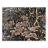 水挨拶カード (正面横)