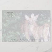 水文具用キリシアンディアパンツ 便箋 (正面)