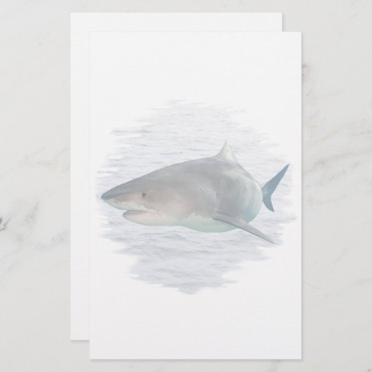 水文房具の鮫 便箋 (正面/裏面)