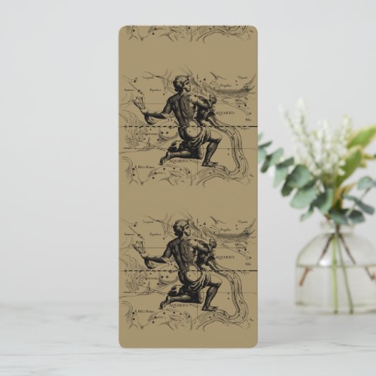 水族座の地図Hevelius 1690 on Taupe (スタンド正面)