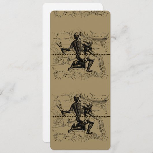 水族座の地図Hevelius 1690 on Taupe (正面/裏面)