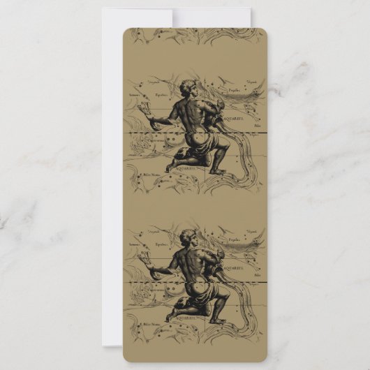 水族座の地図Hevelius 1690 on Taupe (正面)