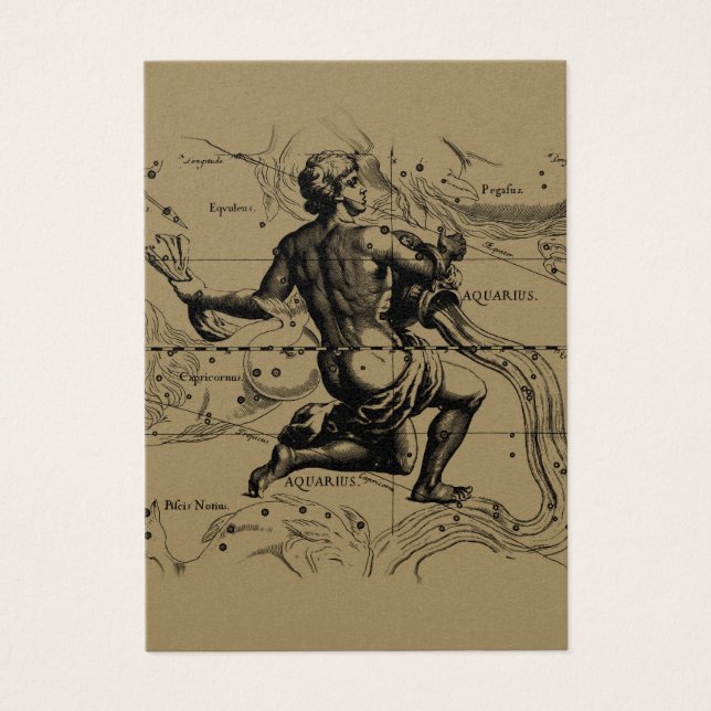 水族座の地図Hevelius 1690 on Taupe (正面)