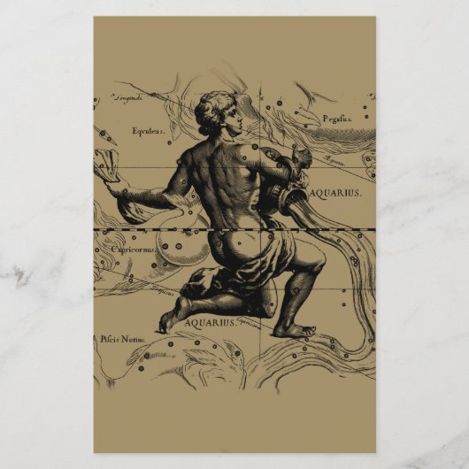 水族座の地図Hevelius 1690 on Taupe チラシ (正面)