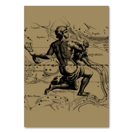 水族座の地図Hevelius 1690 on Taupe テーブルナンバー (正面)