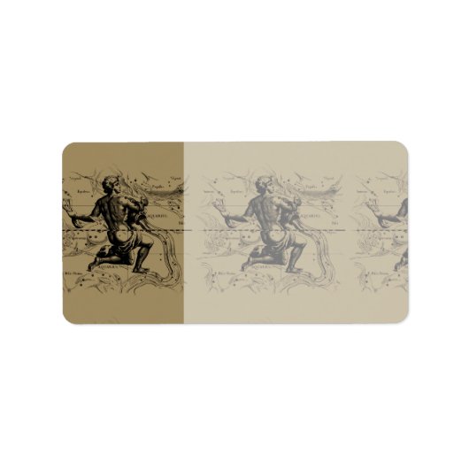 水族座の地図Hevelius 1690 on Taupe ラベル (正面)