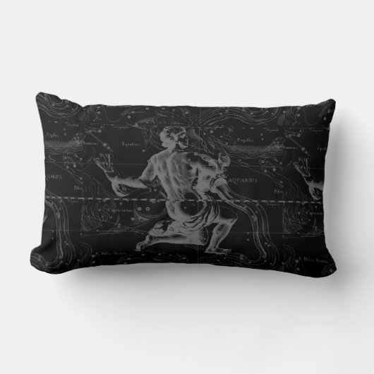 水族座ヘベリアス1690オンブラック ランバークッション (正面)