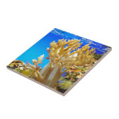 水族館のサンゴ タイル (側面)