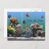 水族館の日付の保存 案内ポストカード (正面/裏面)