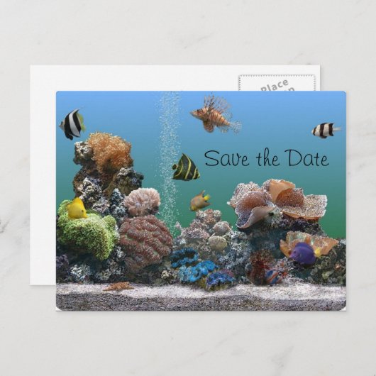 水族館の日付の保存 案内ポストカード (正面/裏面)