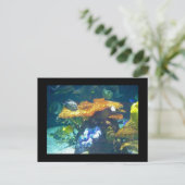 水族館カード ポストカード (スタンド正面)