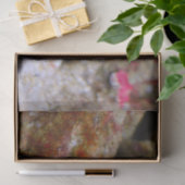 水族館シーホースティッシュペーパー 薄葉紙 (ギフト)