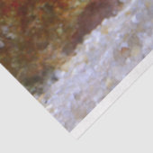 水族館シーホースティッシュペーパー 薄葉紙 (詳細)