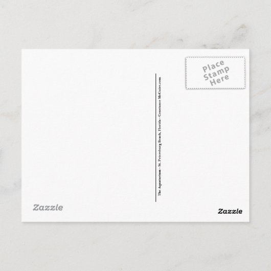 水族館セントピートビーチフロリダポストカード ポストカード (裏面)