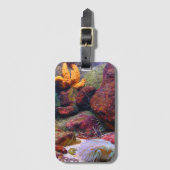 水族館バッグ ラゲッジタグ (正面縦)