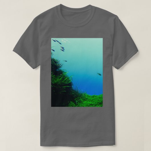 水族館ビュー Tシャツ (デザイン正面)