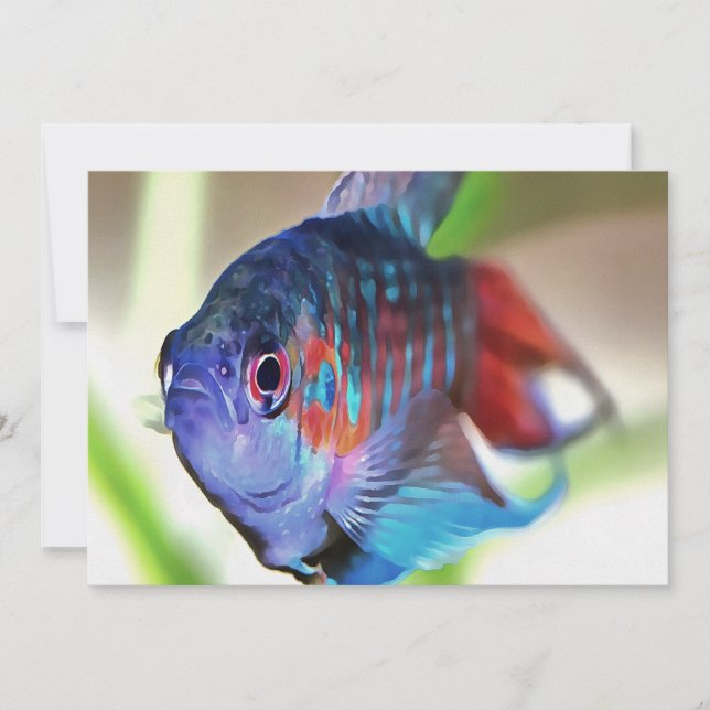 水族館魚 (正面)