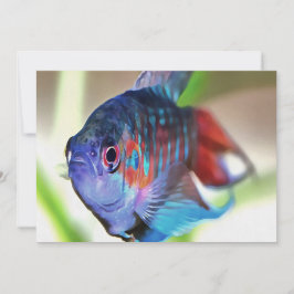 水族館魚