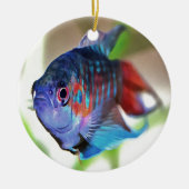 水族館魚 セラミックオーナメント (正面)