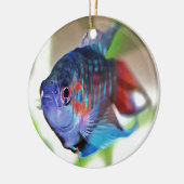 水族館魚 セラミックオーナメント (左)