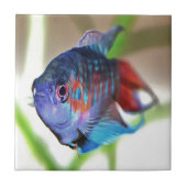 水族館魚 タイル (正面)