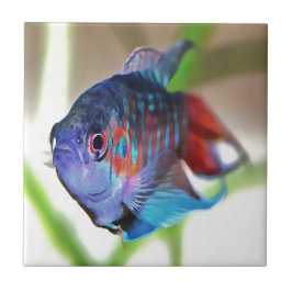 水族館魚 タイル