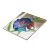 水族館魚 タイル (側面)