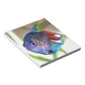 水族館魚 ノートパッド (アングル)