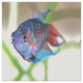 水族館魚 ファブリック (クローズアップ)