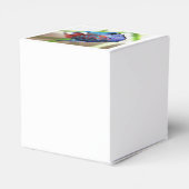 水族館魚 フェイバーボックス (裏面サイド)