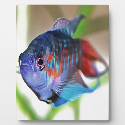 水族館魚 フォトプラーク (正面)