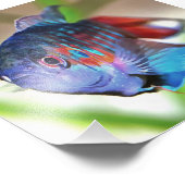 水族館魚 フォトプリント            (角)