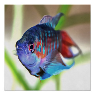 水族館魚 ポスター
