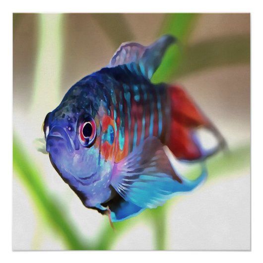 水族館魚 ポスター (正面)