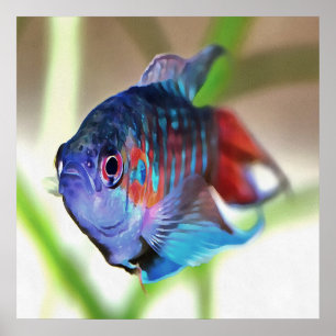 水族館魚 ポスター