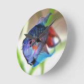 水族館魚 ラウンド壁時計 (傾斜)