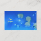 水族館魚 名刺 (裏面)