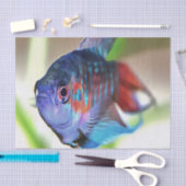 水族館魚 薄葉紙 (クラフト)