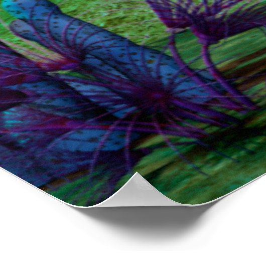 水族館3D ポスター (角)