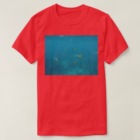 水族館85 Tシャツ (デザイン正面)