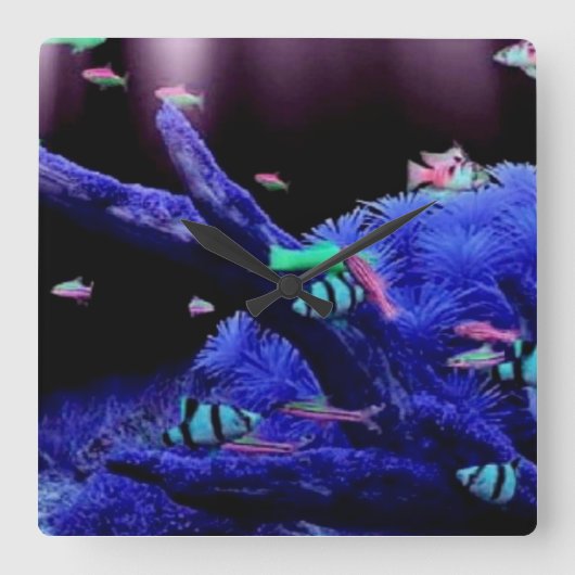水族館 スクエア壁時計 (正面)