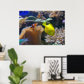 水族館（ネモ） ポスター (ホームオフィス)