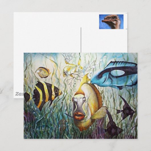 水族館 ポストカード (正面/裏面)