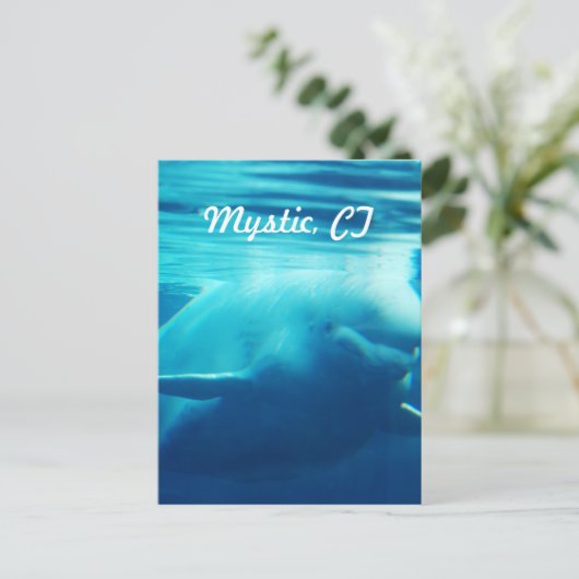 水族館 ポストカード (スタンド正面)