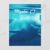 水族館 ポストカード (正面)