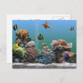水族館rsvp インビテーションポストカード (正面/裏面)