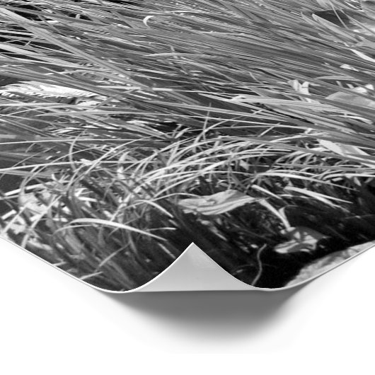 水日本の園 ポスター (角)