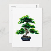 水日本の彩盆栽 ポストカード (正面/裏面)