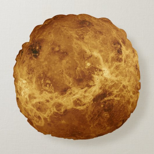 水星の惑星の枕 ラウンドクッション (正面)